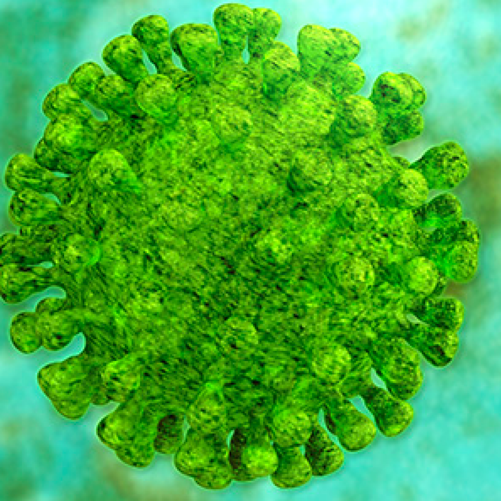 Avis Coronavirus SUA
